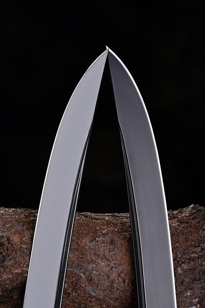 Storm Rider Sword