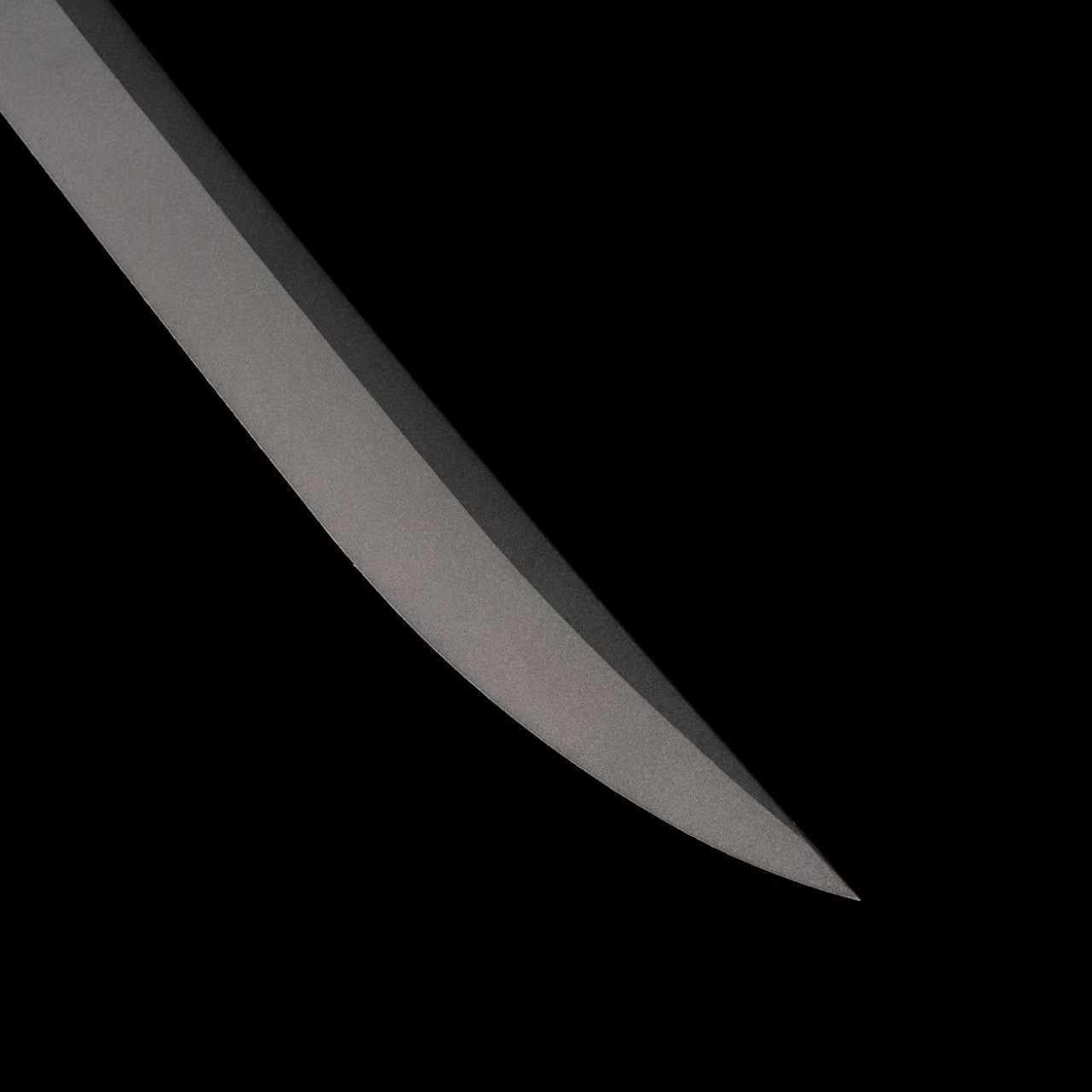 Xiuchun Sentinel